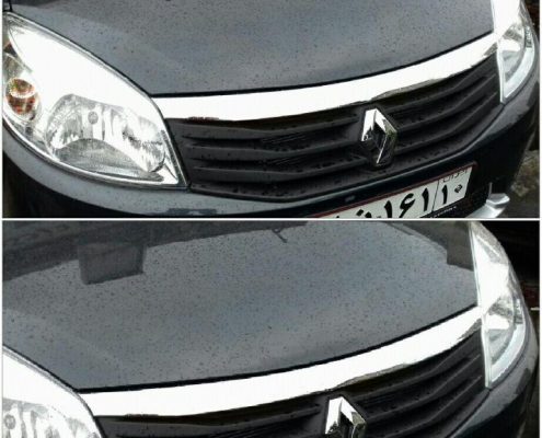 زه لبه کاپوت رنو ساندرو استپ وی