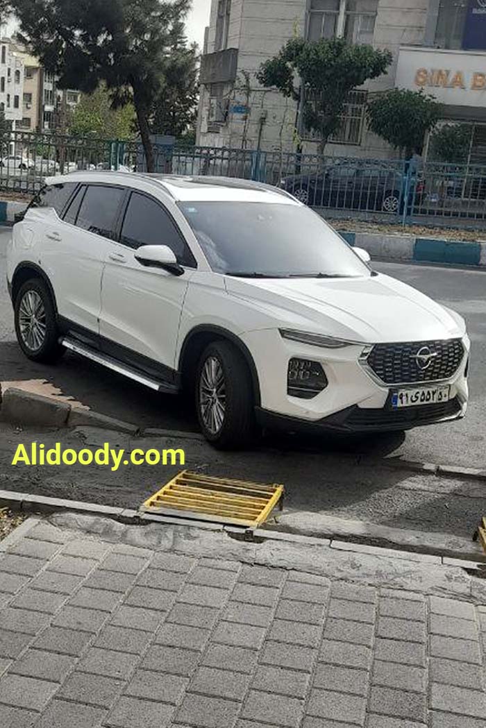 گارد و رکاب هایما S8, رکاب بغل هایما S8